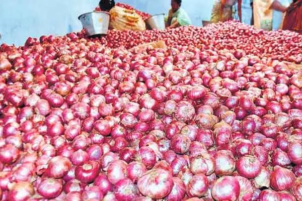 onion prices increased
